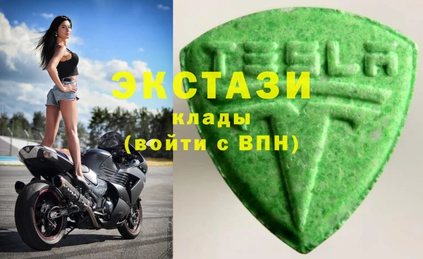 СК Снежногорск